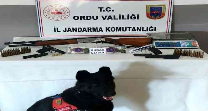 Ordu’da uyuşturucu mücadelesi