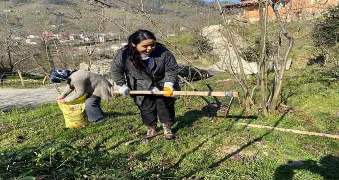 Giresun’da “Örnek Fındık Bahçesi” projesi devam ediyor