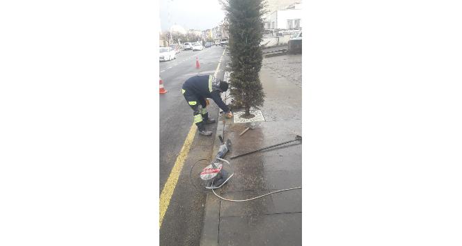 Park ve bahçelerde bakım-onarım çalışmaları yoğunlaştırıldı