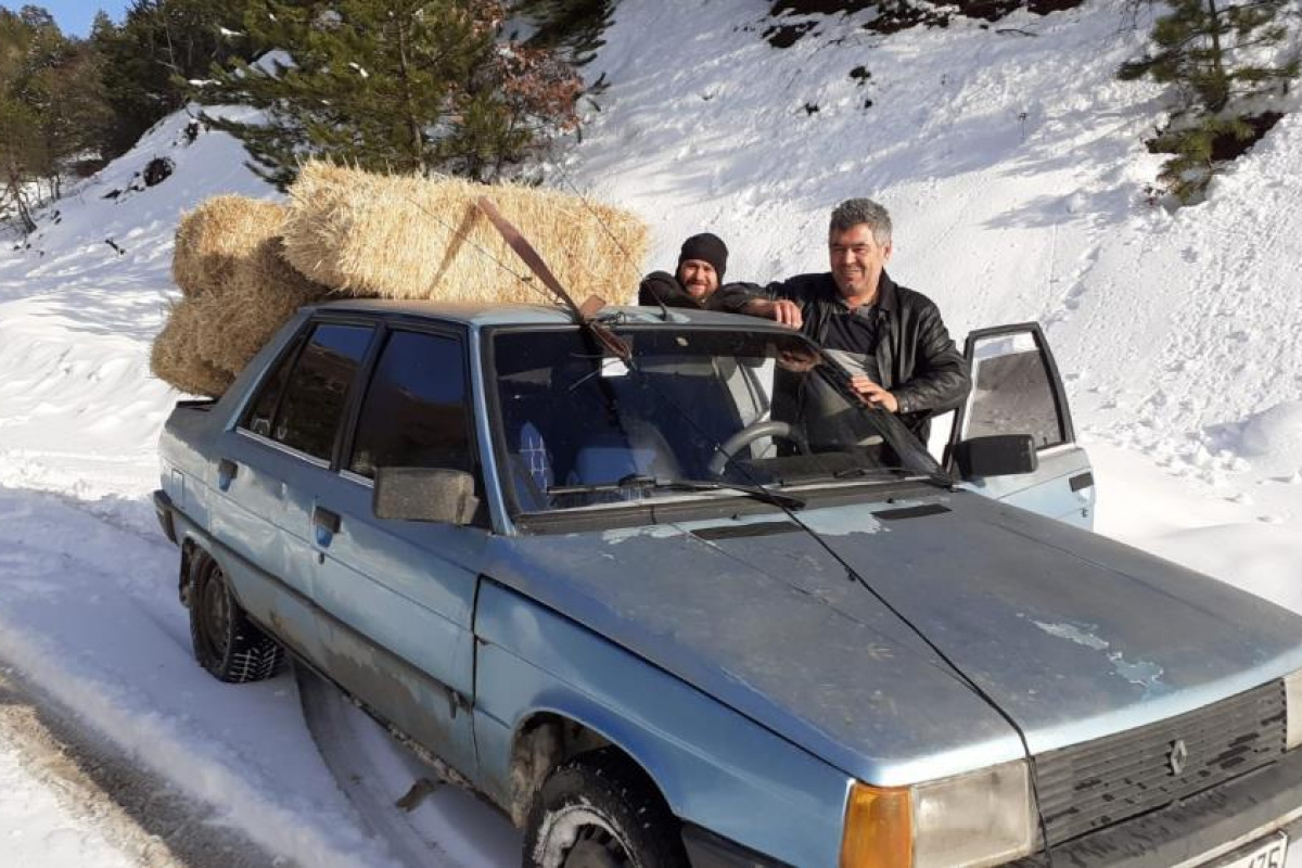Karlı dağda yoluna çıkan yılkı atlarına otomobiliyle saman taşıdı