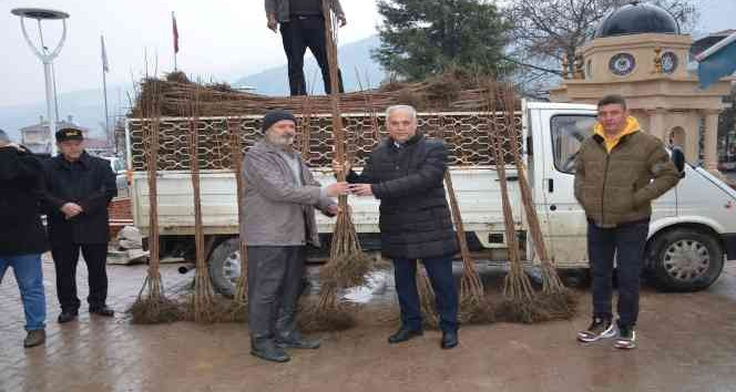 Bilecik’te 4 bin 150 adet cennet hurması dağıttı