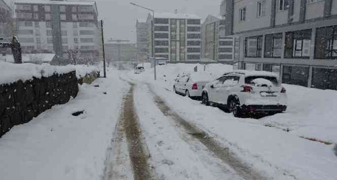 Bitlis’te 58 köy yolu ulaşıma kapandı
