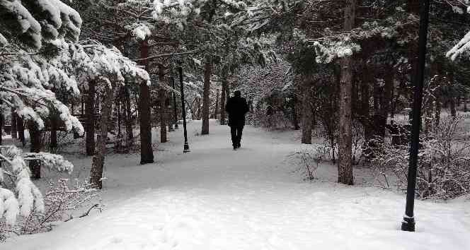 Kar, Yozgat Çamlığı Milli Parkı’nda seyrine doyumsuz görüntüler oluşturdu