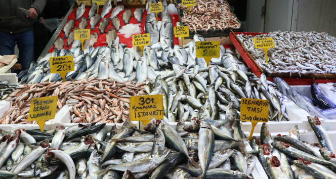 Samsunda balık fiyatları arttı