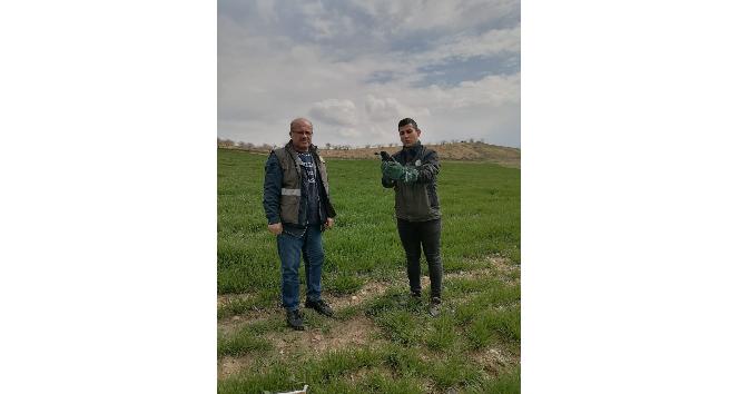 Siirt’te yaralı bulunan kuzgun tedavisinin ardından doğaya salındı
