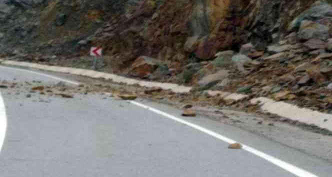 Sürücünün dikkati faciayı engelledi