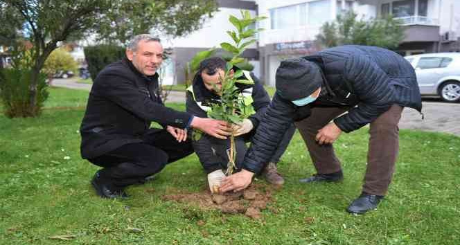 Başkan Tören: “Kentimizin yeşil varlığını önemsiyoruz”