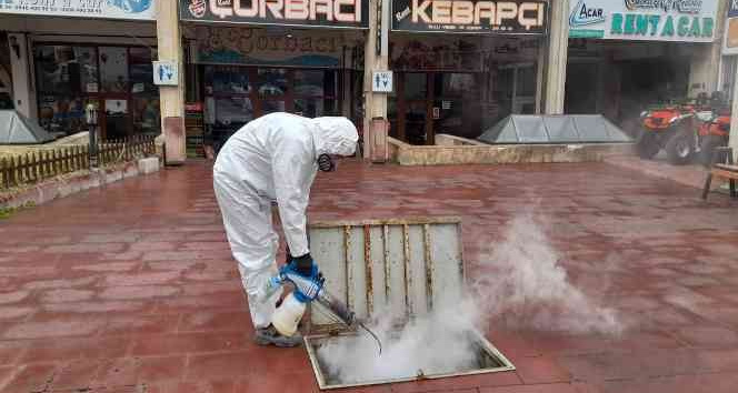 Ürgüp Belediyesinden  haşerelere karşı kışlak mücadelesi