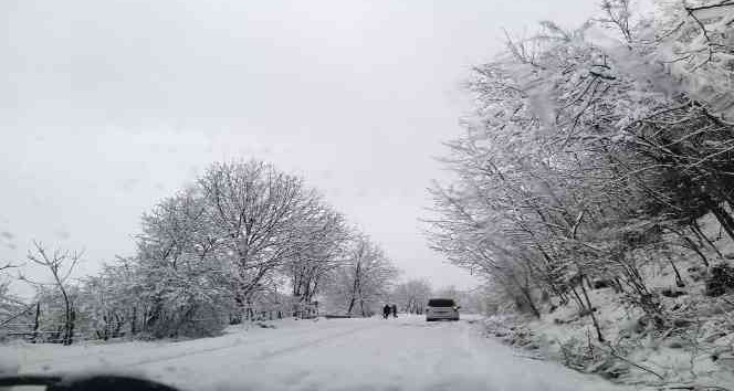Çaybaşı yolu kara teslim