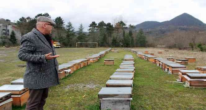 Elevli "Tarımda rekolte ve randıman için arıcılık desteklenmeli"