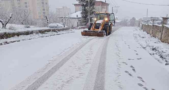 Ordu’da karla mücadele sürüyor