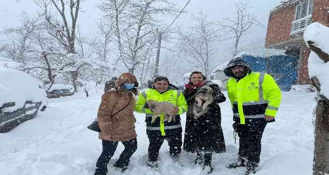 Fatsa’da sokak hayvanları unutulmadı