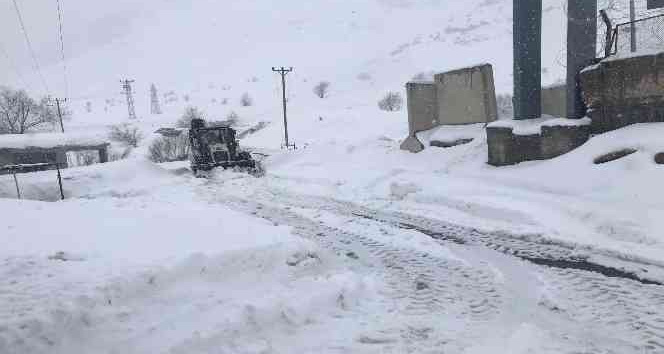 Şırnak’ta kardan kapanan köy yollarında çalışmalar devam ediyor