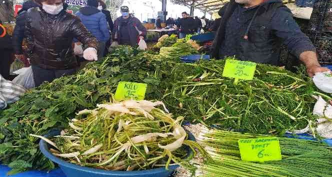 Ege’nin otları şifa deposu