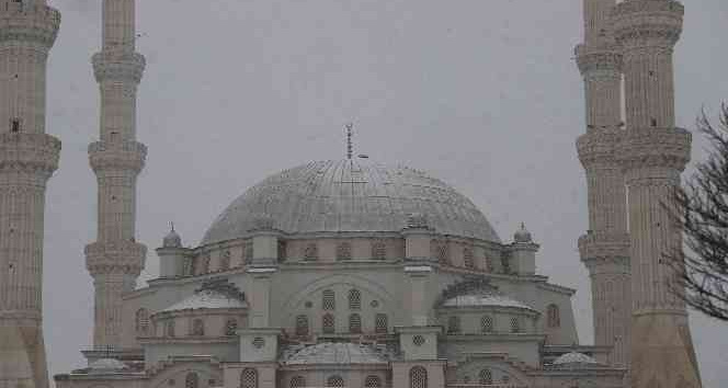 Iğdır’da ’Baharın müjdecisi’ leylekler kar altında kaldı