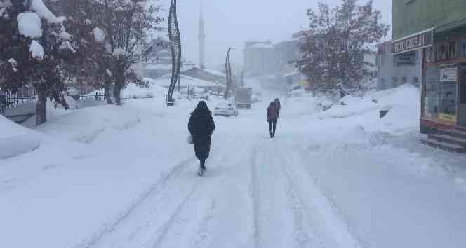 Karlıova’da kar çilesi bitmiyor