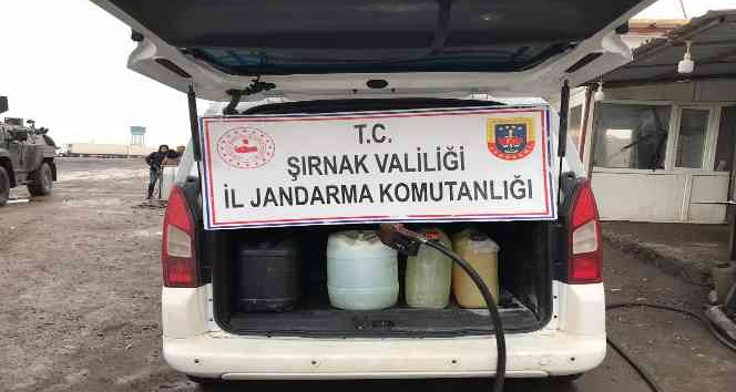 Şırnak’ta kaçakçılık ve asayiş operasyonu: 69 gözaltı