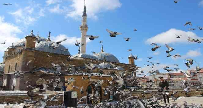 Yozgat esnafının ilk müşterileri güvercinler oluyor