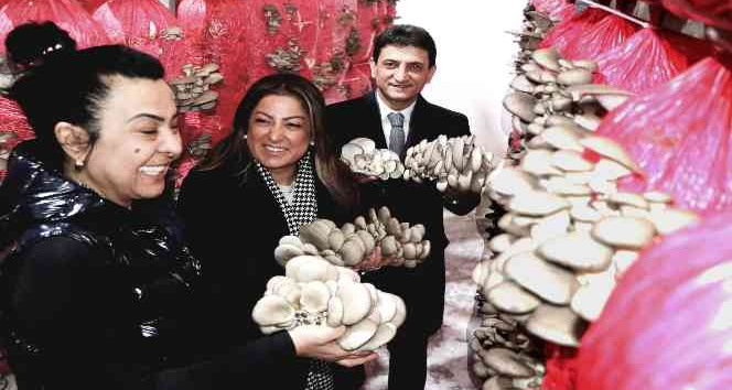 Kadın girişimci yılda 150 ton mantar üretiyor