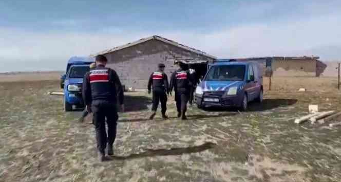 Çaldıkları koyunların parasını ödeyince serbest kaldılar