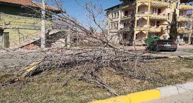 Otomobil refüjdeki ağacı söküp karşı şeritteki çöp konteynerine çarptı
