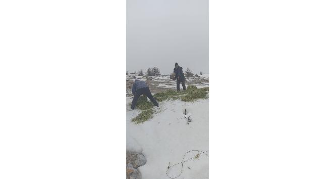 Tunceli’de yaban hayvanları için doğaya yem bırakıldı