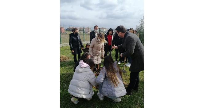 Sağlık Kültür ve Spor Başkanlığı fidanları toprakla buluşturuyor