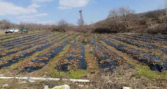 Kırklareli’nde üreticiler bilgilendiriliyor