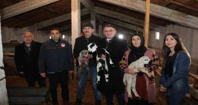 Tokat’ta 2 yılda 912 çiftçi sürü sahibi oldu