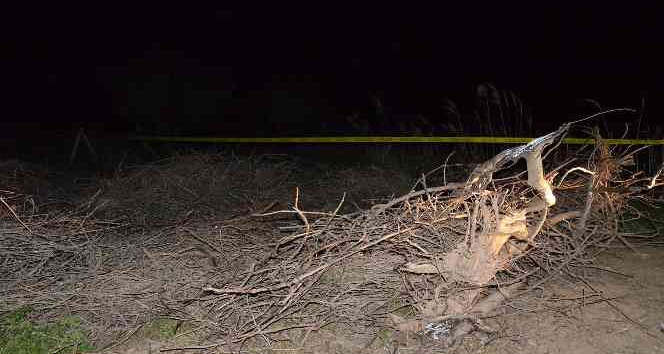 Manisa’da kan donduran cinayet: Öldürdü, yaktı, gömdü
