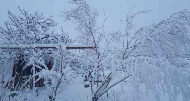 Tuzluca’da kar yağışı etkili oluyor