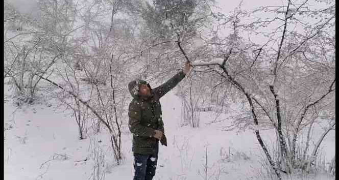 Kar yağışı fındık fiyatlarını yükseltti