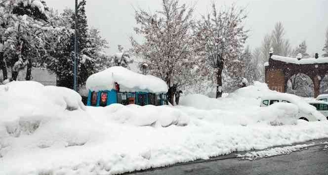 Bitlis’te 248 köy yolu ulaşıma kapandı
