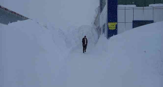 Bitlis’te bu kış 9 metrelik kar yağdı