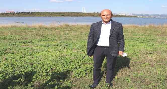 Yeşil Altınova için her yıl 3 bin fidan toprakla buluşuyor