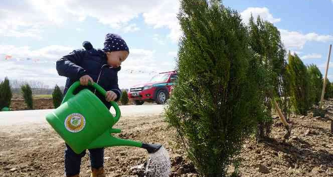 Edirne’de bu yıl hedef: 2 buçuk milyon fidan