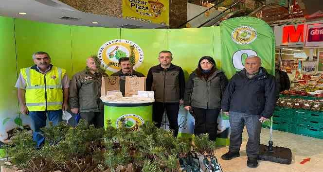 Fatsa’da ücretsiz olarak 2 bin fidan dağıtıldı