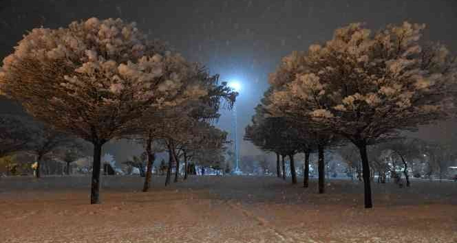 Bitlis bahara hasret kaldı