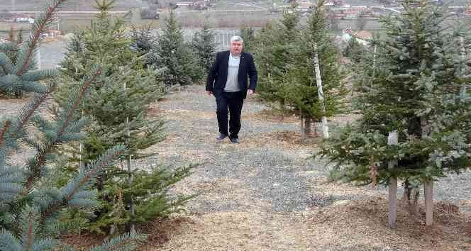 Bozkırı yeşillendiren ‘Oksijen Adam’ 300 bin fidanı toprakla buluşturdu