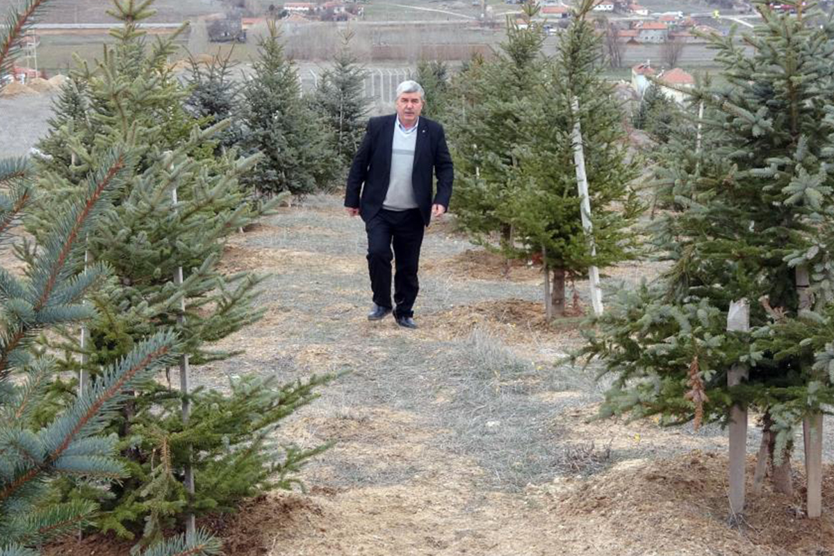 Bozkırı yeşillendiren ‘Oksijen Adam’ 300 bin fidanı toprakla buluşturdu