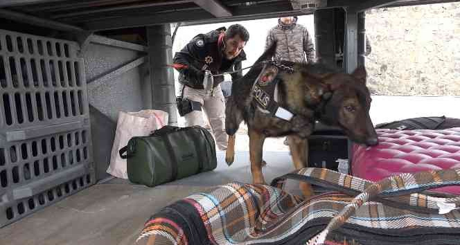 43 ilin geçiş güzergahında sıkı denetim: Narkotik köpeği ’Adam’ didik didik arıyor