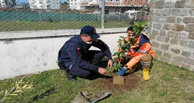 Başkan Tören: “Çalışmalarımızın merkezinde yeşil kalkınma var”