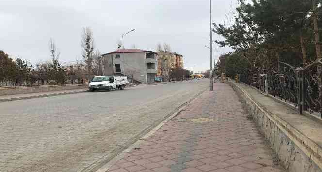 Iğdır’da "mavi dil" hastalığı tedirgin etti