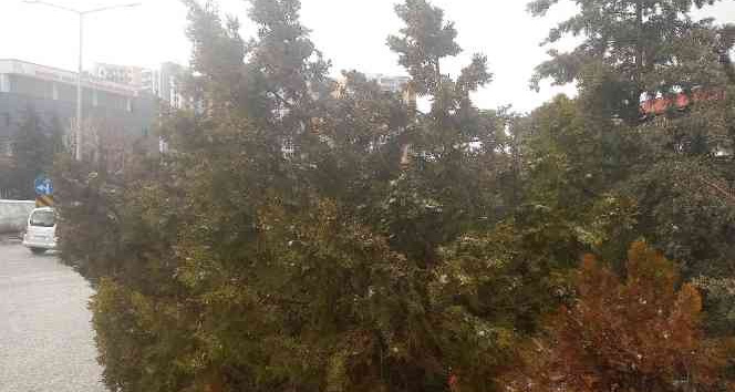 Mardin’de dolu yağışı etkili oldu