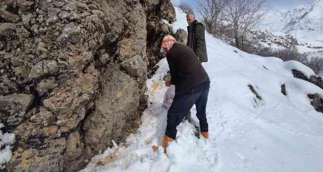 Karlıova kırsalına 550 kilo yem bırakıldı