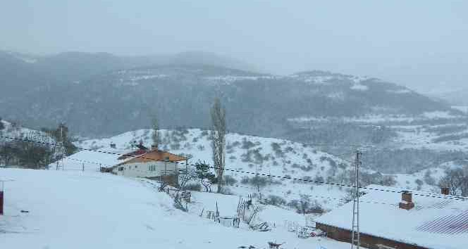 Posof’ta kar ve tipi okulları kapattı