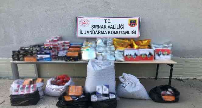 Şırnak’ta 10 bin paket kaçak sigara ele geçirildi: 65 gözaltı