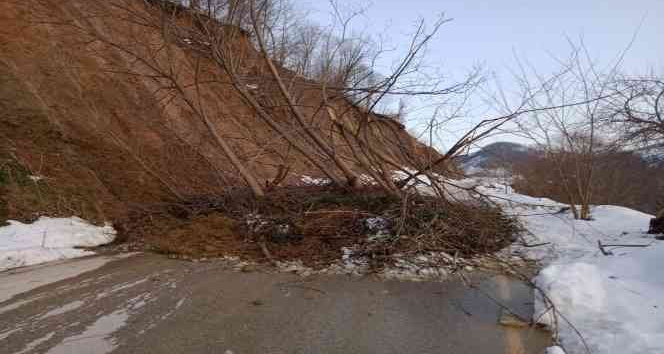 Ordu’da eriyen kar heyelanlara sebep oldu