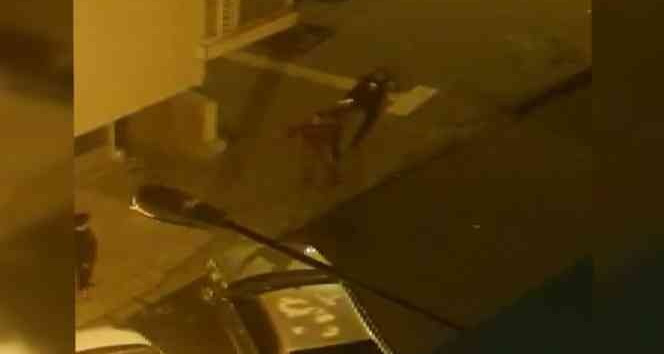 Bekçiden tüfekli adama tekmeli müdahale
