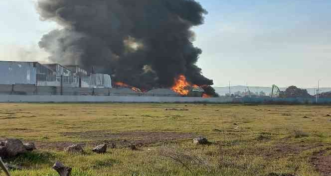Osmaniye’de geri dönüşüm fabrikasında yangın